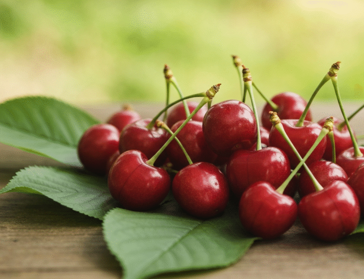 Bing Cherries